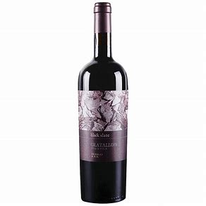 Celler Cecilio Black Slate Gratallops 2021